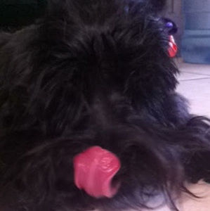 Meet your Posher, Yulya